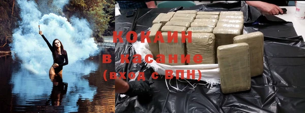 шишки Нязепетровск
