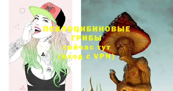 прущие грибы Всеволожск