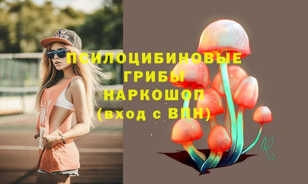 прущие крисы Новокубанск