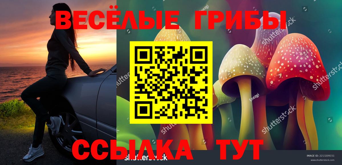 Галлюциногенные грибы Magic Shrooms Курчалой