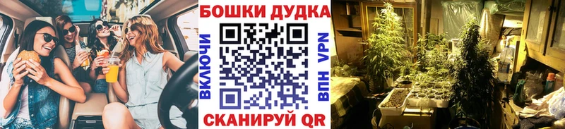 Бошки марихуана конопля  blacksprut ТОР  shop клад  Курчалой 